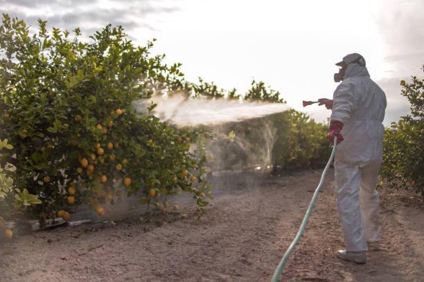 Best Wasp Removal Services  in Greenbrier, TN