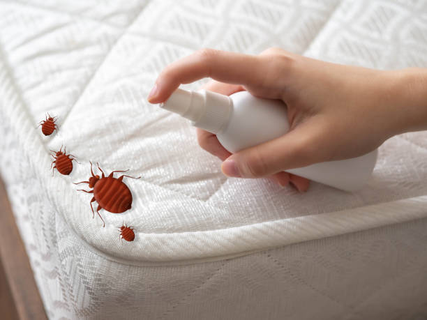 Best Local Pest Control Services  in Greenbrier, TN