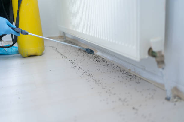 Flea Control Services in Greenbrier, TN