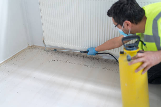 Best Termite Control Services  in Greenbrier, TN