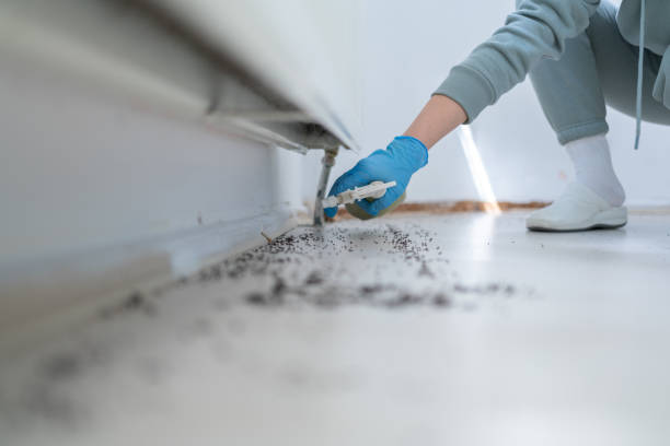 Professional Pest Control in Greenbrier, TN