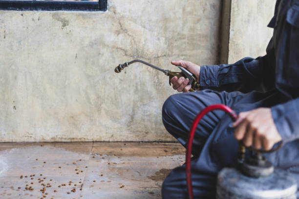 Best Affordable Pest Control Services  in Greenbrier, TN